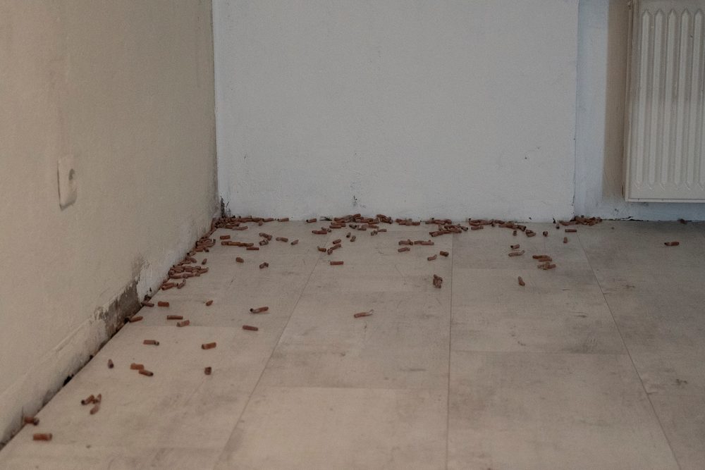 one day breath, installation view